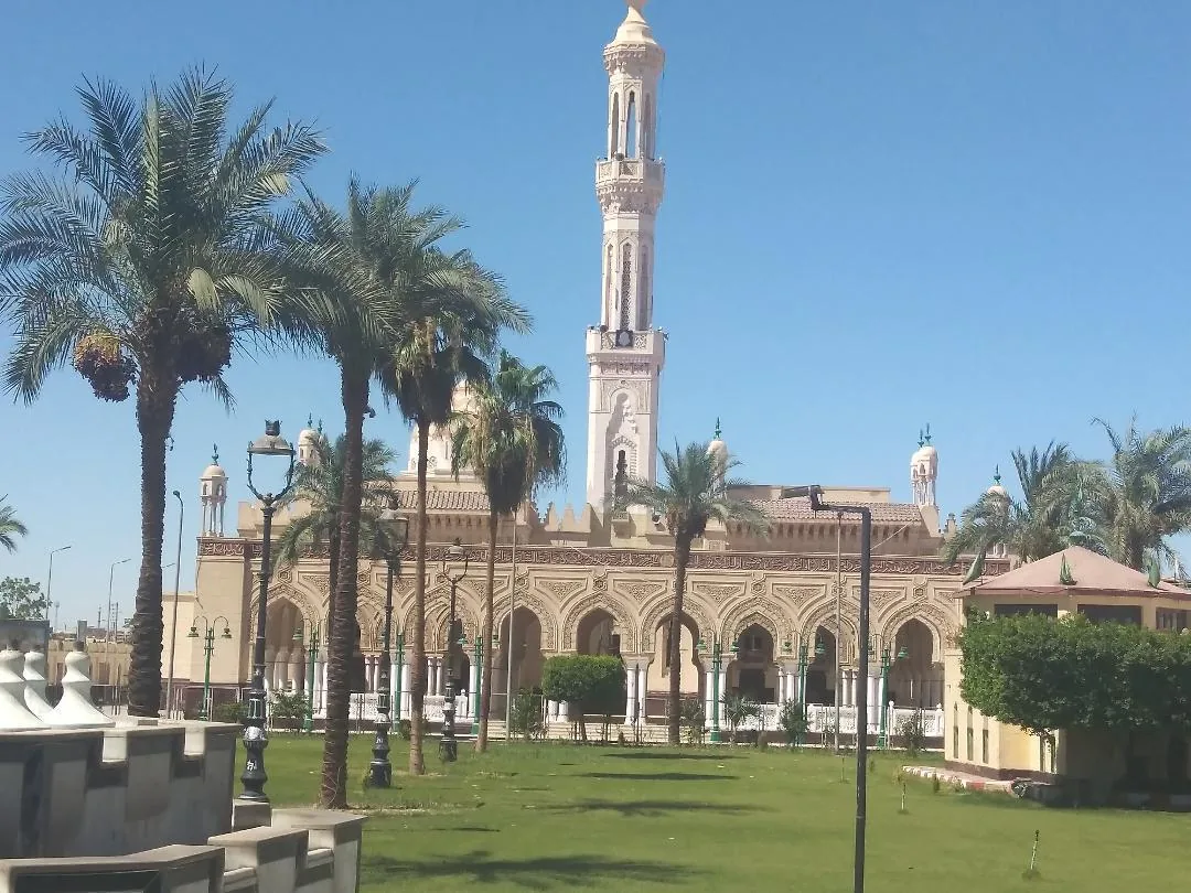 Qena skyline along the Nile