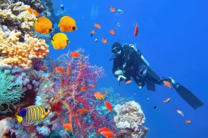 Turquoise Red Sea waters and coral reef scenery near Hurghada, Egypt